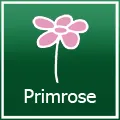  Primrose Promo Codes