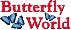  Butterfly World Promo Codes