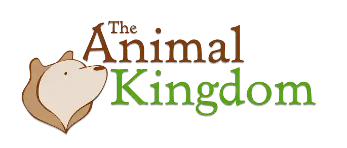  The Animal Kingdom Promo Codes
