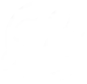  Keto Kookie Promo Codes