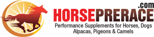  Horseprerace Promo Codes