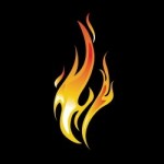  The Fire Store Promo Codes