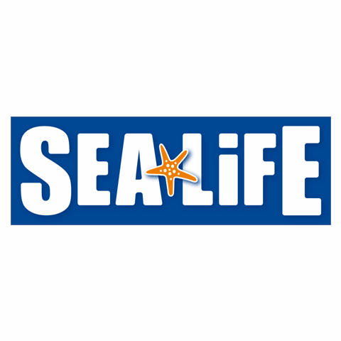  Sea Life Promo Codes